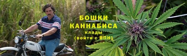 индика Баксан